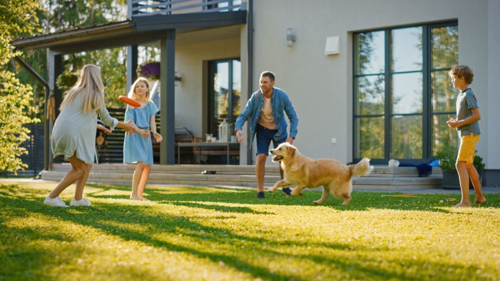 Family playing frisbee with dog in springtime
