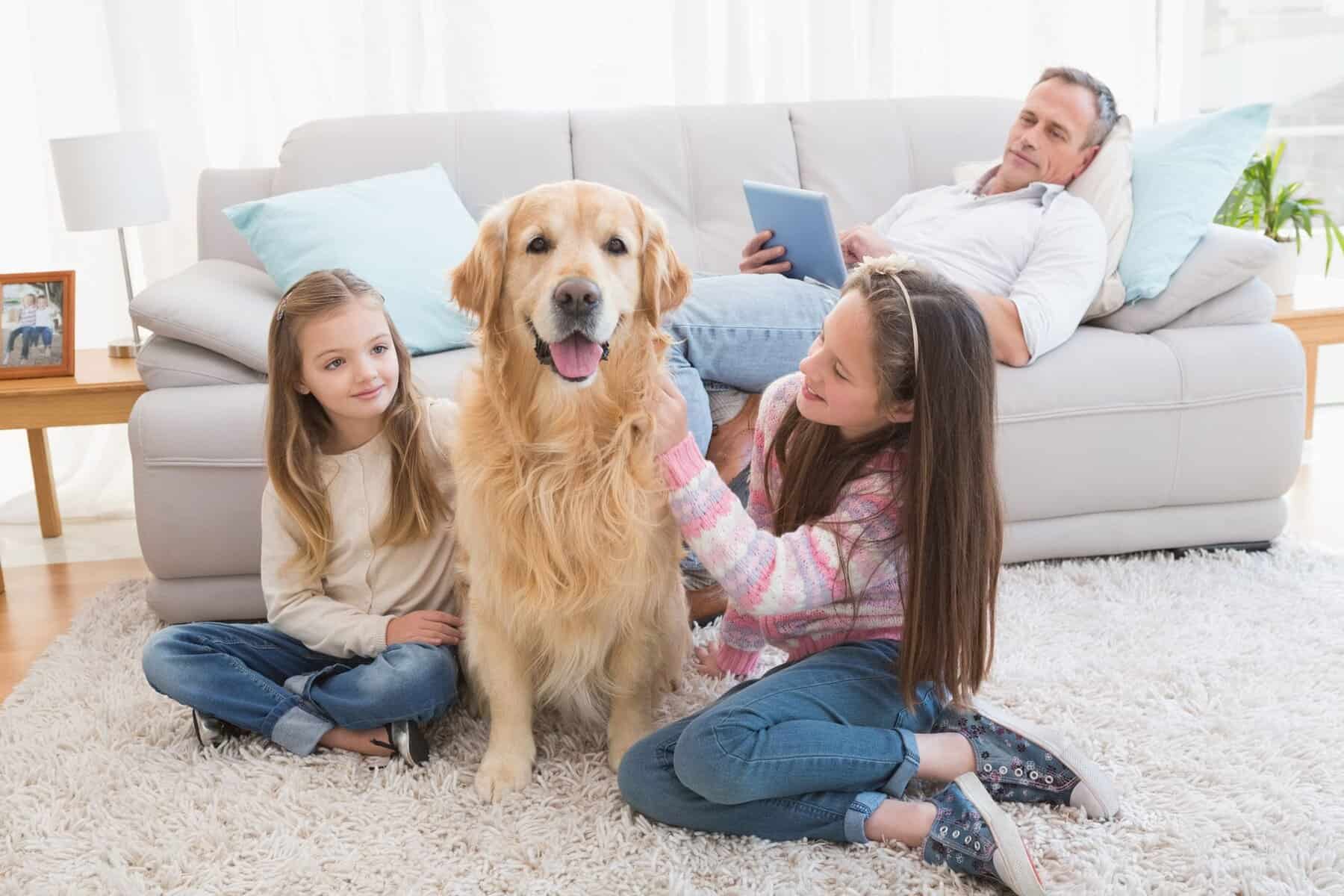 Two girls sit on a rug petting a golden retriever, while a man relaxes on a sofa in the background reading about annual AC maintenance on his tablet.