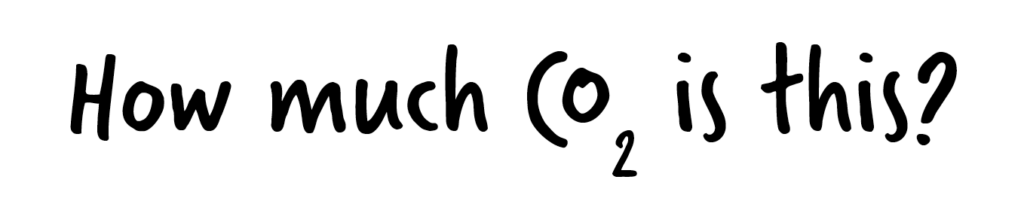 Text reading "How much CO₂ is this?" in a handwritten-style font on a white background, perfect for adding an informative touch to your about us page.